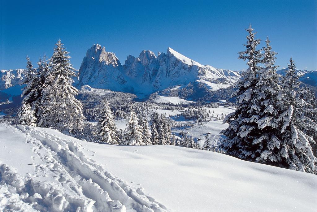Alpin Sport Aparthotel Ortisei Luaran gambar